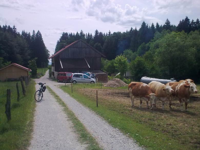 am Isarradweg in der Nähe von Königsdorf